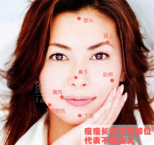 痘痘代表的身体状况