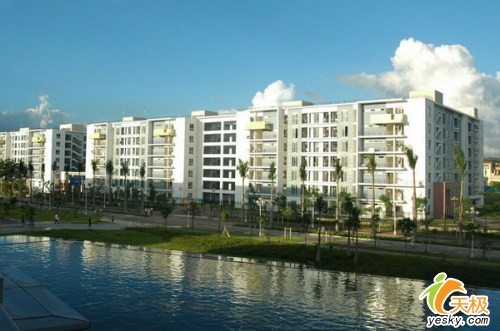 点击放大此图片