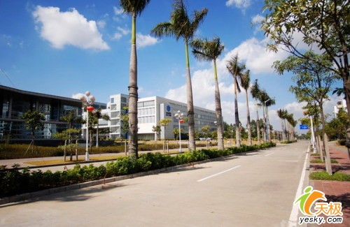 点击放大此图片