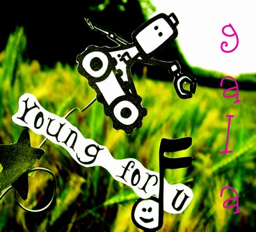 【歌曲推荐】young for you - the GALA