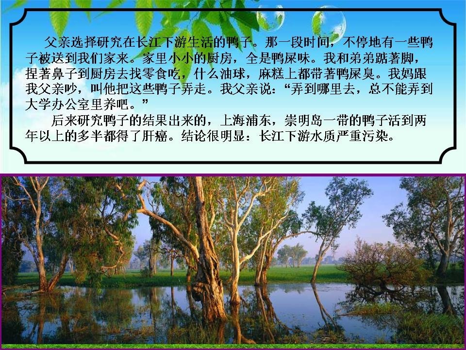 wuchuanmi_yangtze_river_fish_protector_16