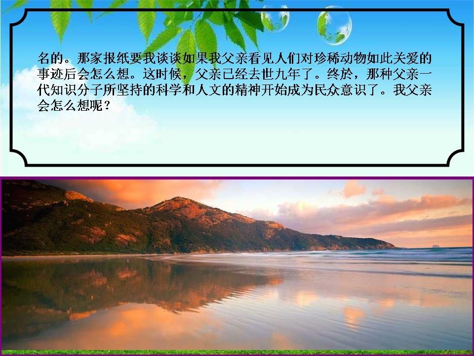 wuchuanmi_yangtze_river_fish_protector_34