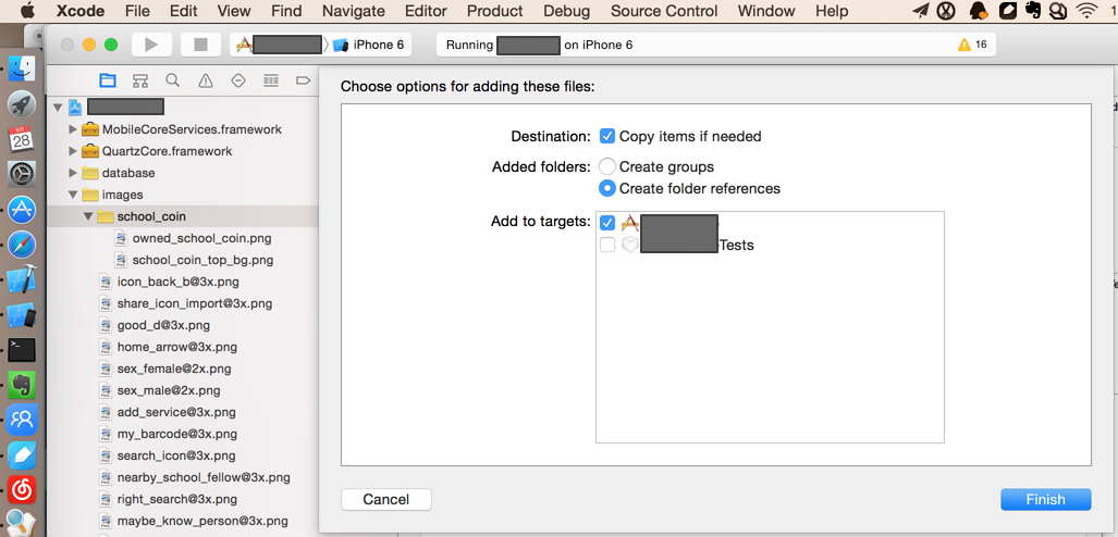 copy file to xcode choose options for adding these files