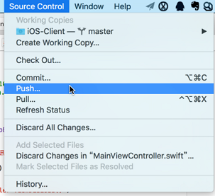 xcode push under source control