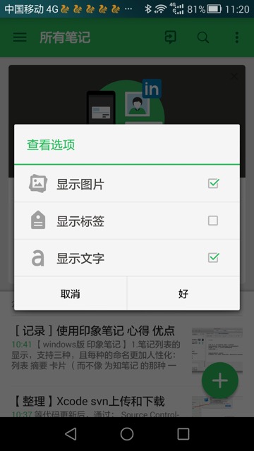 view options for evernote