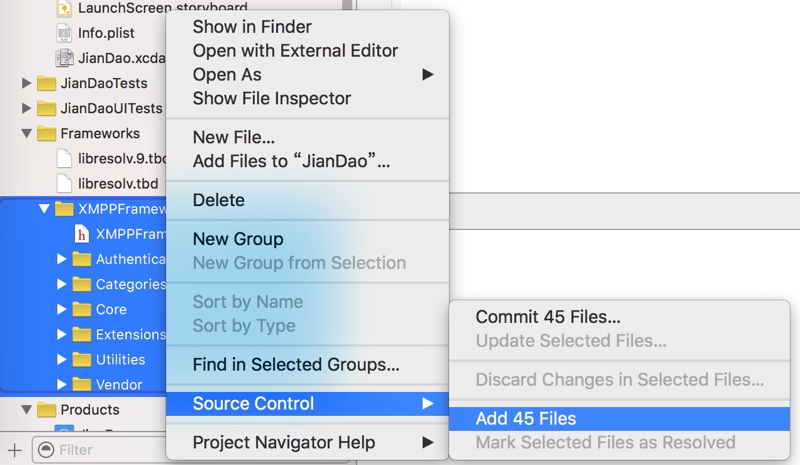 xcode source control add files