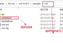 【无需解决】CentOS中正在运行的Solr如何得到其所有的配置